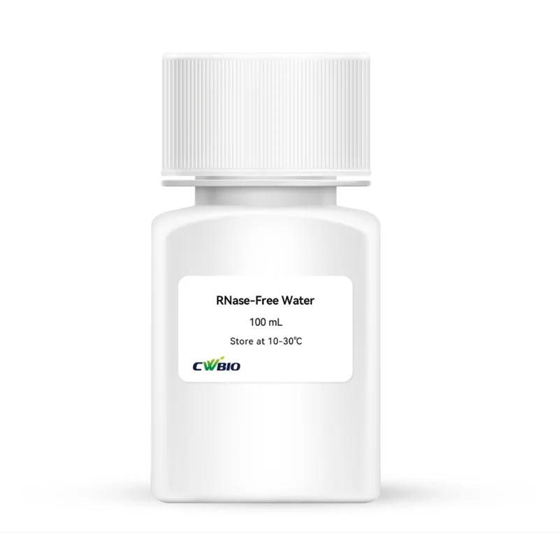 RNase-Free Water