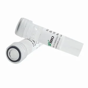 Cod Uracil-DNA Glycosylase