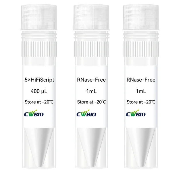 HiFiScript All-in-one RT MasterMix for qPCR