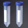 50ml Conical Tube